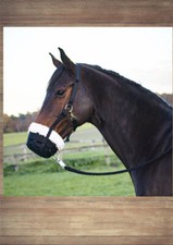 Busse Fressbremse Comfy, Busse