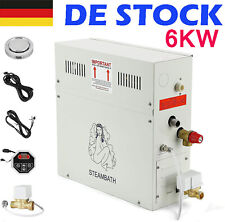 6KW Dampfgenerator Innerhalb
