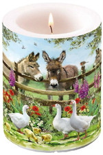 Kerze Lampionkerze Ø 10 cm H