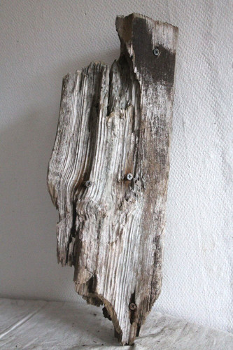 Schwemmholz treibholz brett - ,