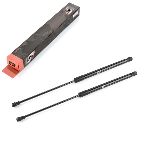 Gasfeder - 2x,