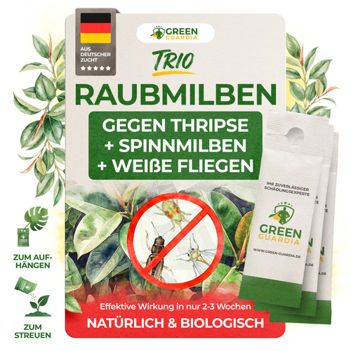 Raubmilben trio gegen thripse - raubmilben,