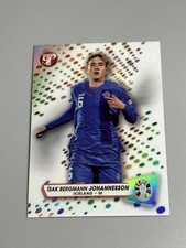 Isak Bergmann Johannesson 2023