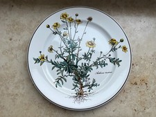 Villeroy & Boch Botanica Speiseteller mit Wurzel Essteller groß 26,5cm MEHR NEU!