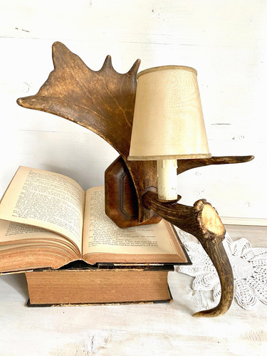 Lampe geweih wandlampe - geweih,