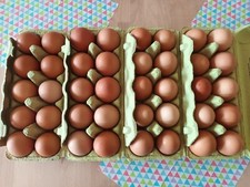10, 100 bis 110 ausgeblasene Hühner Eier braun, 1 Loch,  ausgespült