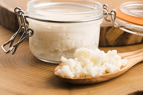 Kefirknollen milchkefir aus - kefirknollen, (milchkefir