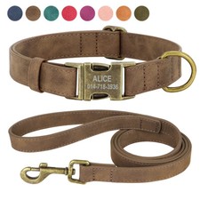 Wildleder Hundehalsband & Leine Personalisiert Hundehalsband Telefonnummer Name