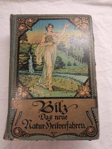 Antikes buch kirche bilz - antikes,