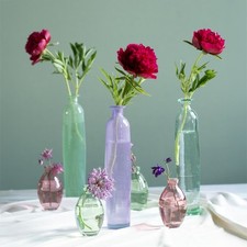 Hohe Glas Blumenvase Lila