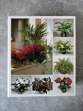 Buch: Zimmerpflanzen von A–Z