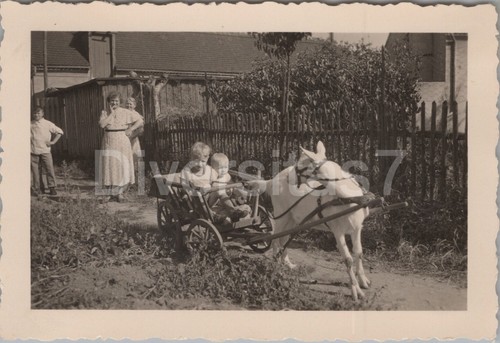 Foto kinder mit ziegenbock im - ziegenbock,