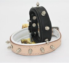 Nietenhalsband Spikes