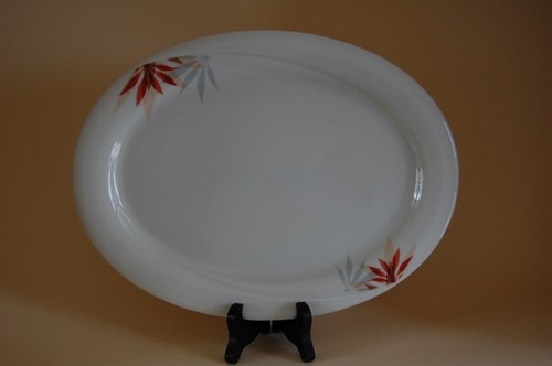 Servierplatte 23 5cm - servierplatte, 30,5/23,5cm