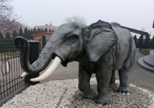 🔶Elefant Figur Lebensgroß