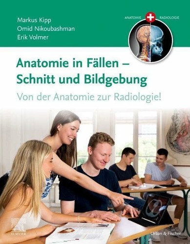 Anatomie fällen schnitt - -,