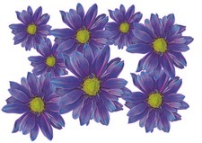 Blumen aufkleber flower - blumen,