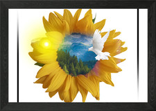 Sonne Blume gerahmtes Wandbild
