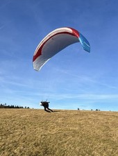 GIN Calypso Low B Größe L 95-115 Kg (Erw. 120) mit Neuem Check Bis Mai 2027