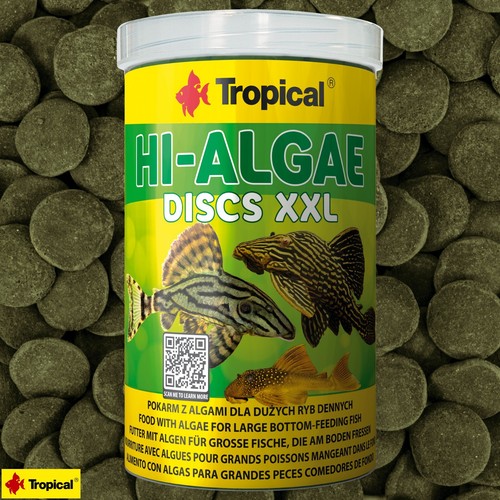 Tropical algae discs xxl - hi-algae,