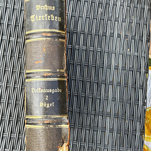 Brehms tierleben die - tierleben, –