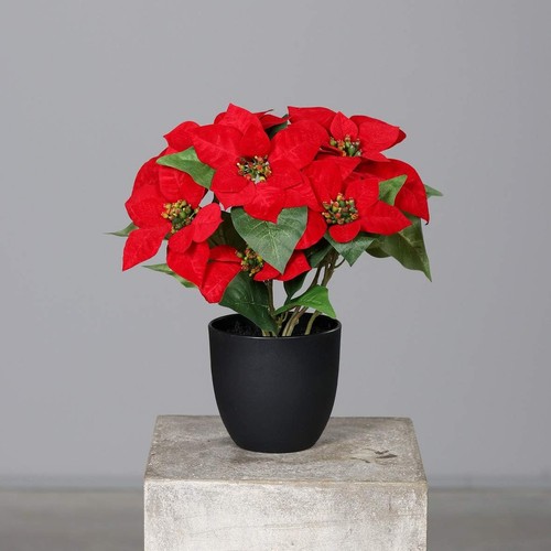 Künstlicher weihnachtsstern - künstlicher,