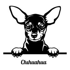Chihuahua Auto Aufkleber 9X9