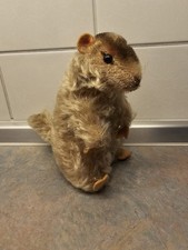 Steiff Murmeltier Burri ohne Knopf