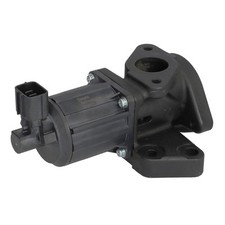 AGR Ventil DELPHI EG10637-12B1