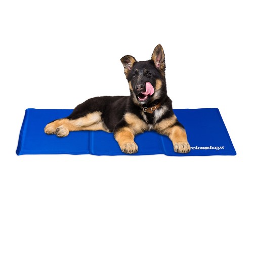 Kühlmatte für hunde - hunde, &