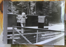 Foto Dresden Pioniereisenbahn