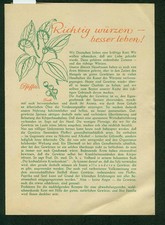 Altes Faltblatt Richtig