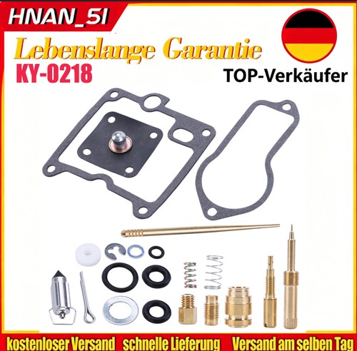Vergaser reparatur satz - reparatur,