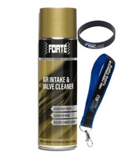 Forte Air Intake and Valve Cleaner Reinigt Nagar-Ringe und Ansaugsystem