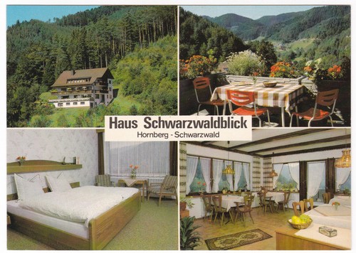 Hornberg schwarzwald haus - hornberg,