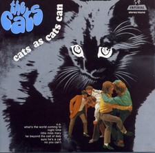 THE CATS - Cats as cats can #
