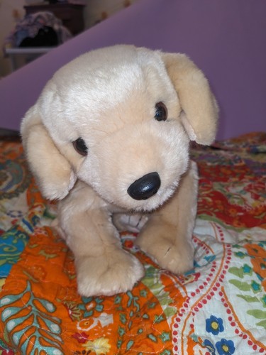 1999 beanie buddy - 1999, fetch