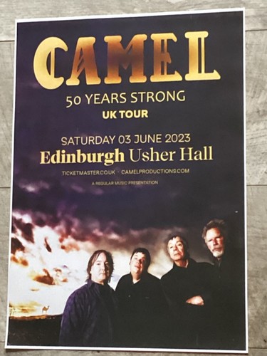 Camel edinburgh 2023 50 - edinburgh,