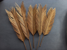 große Palmblätter Naturmaterial gefärbt Deko Basteln