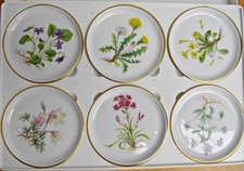 6 schöne Fürstenberg Porzellan Teller, Untersetzer, Blumenmotiv, 10cm