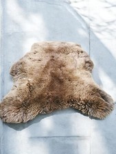 L-XXL Große Schaffelle, Echte Felle, Natürlich 1 & 2 Wahl, Lammfell, A & B Ware