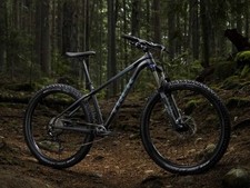 Trek Mountainbike