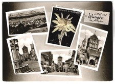 AK Wangen im Allgäu, Ortspartien mit Rathaus, Trockenblume: echtes Edelweiss 