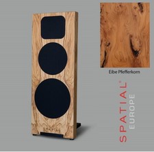 Spatial MC No 5 - HighEnd Standlautsprecher Eibe Pfefferkorn Paar | UVP 9200 €