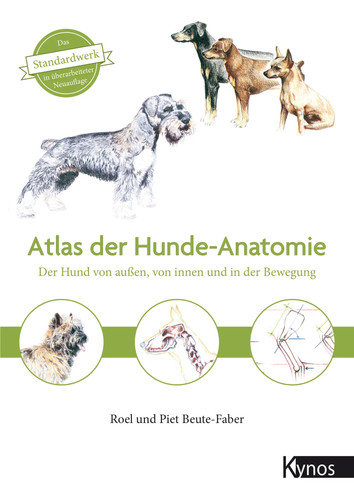 Atlas der hundeanatomie - atlas,