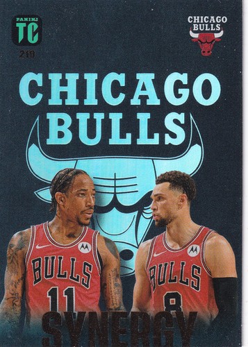 Chicago bulls panini top - chicago,