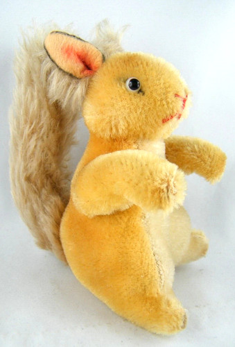 Altes eichhörnchen - altes,