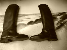 Königs Reitstiefel Gr 5,5  5