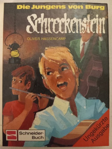 Minibuch die jungens von burg - jungens,