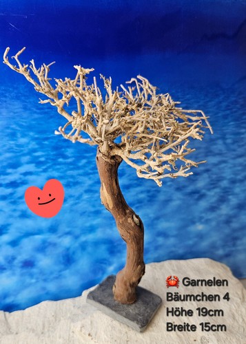 Neu garnelen bäumchen - neu,